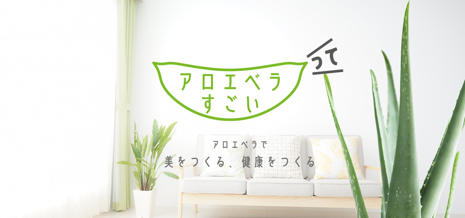 アロエベラ 特製、免疫活性するみたいよ！最低6ヶ月つずける、